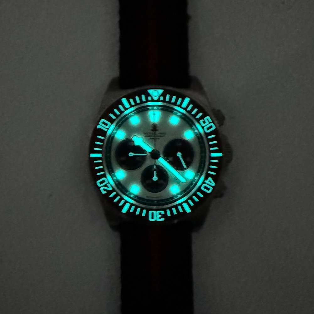 Tactical Frog Heren Chronograa - Titanium Sport Watch recensie en prijs
